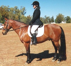 Anne Rouen Dressage